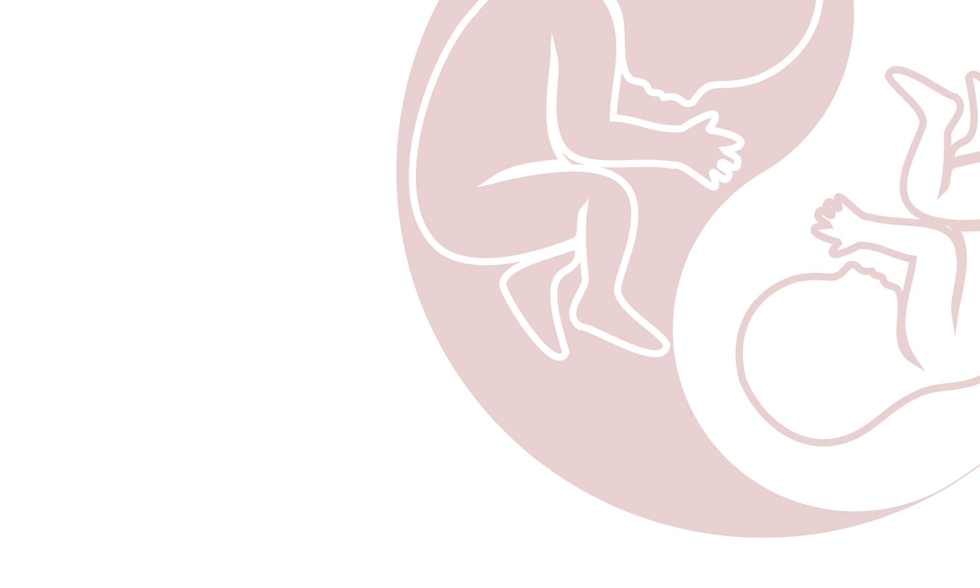 The TAPS Support Foundation - Supporting TAPS Research and Families logo