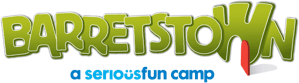 Barretstown | Rebuilding Lives Affected by Childhood Illness logo