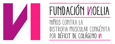 Fundación Noelia: Inicio logo
