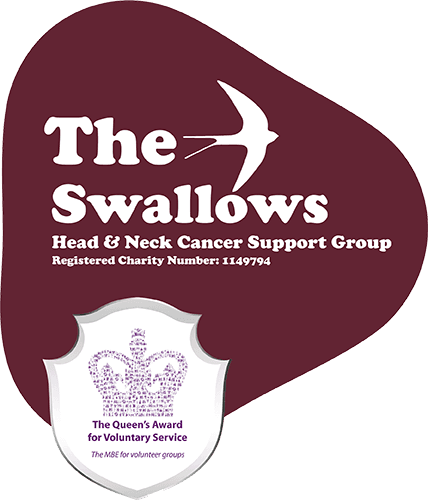 The Swallows logo