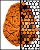 A definition and classification of status epilepticus – Report ... logo