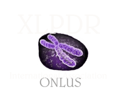 XLPDR International Association logo