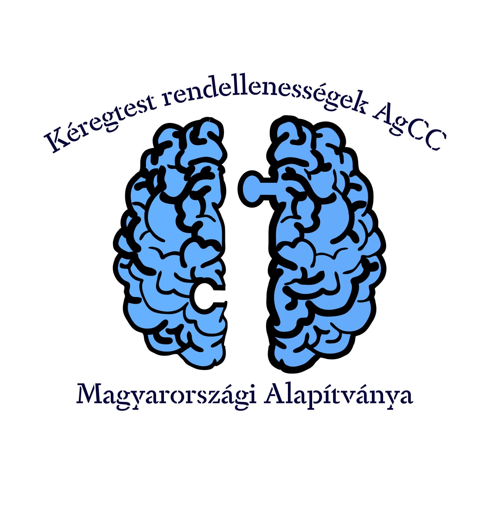 agykeregtest logo